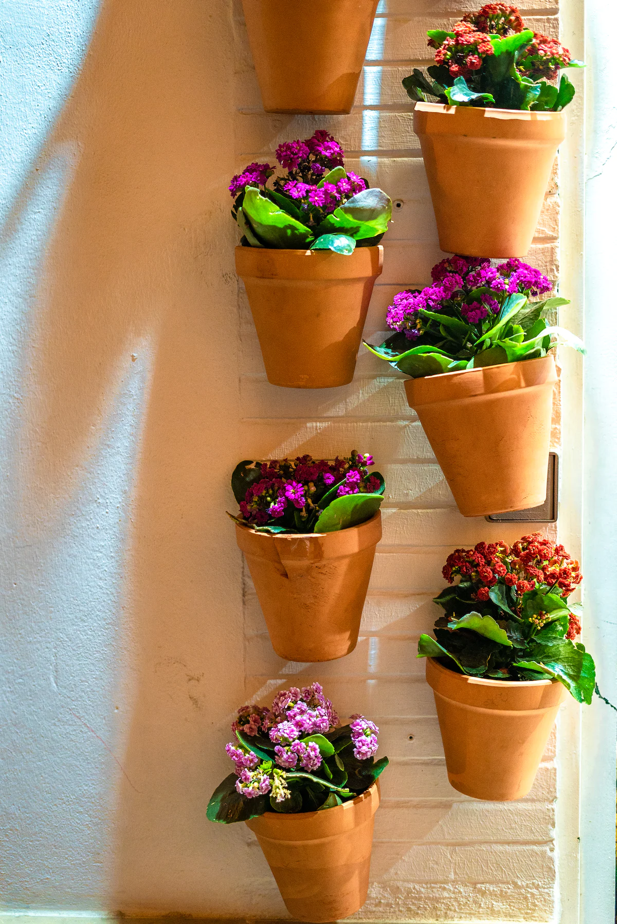 Little Green Thumbs: Paint and Plant