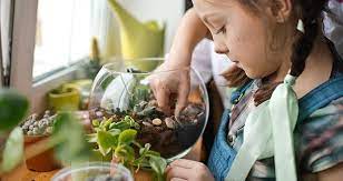 Mini Biome Builders