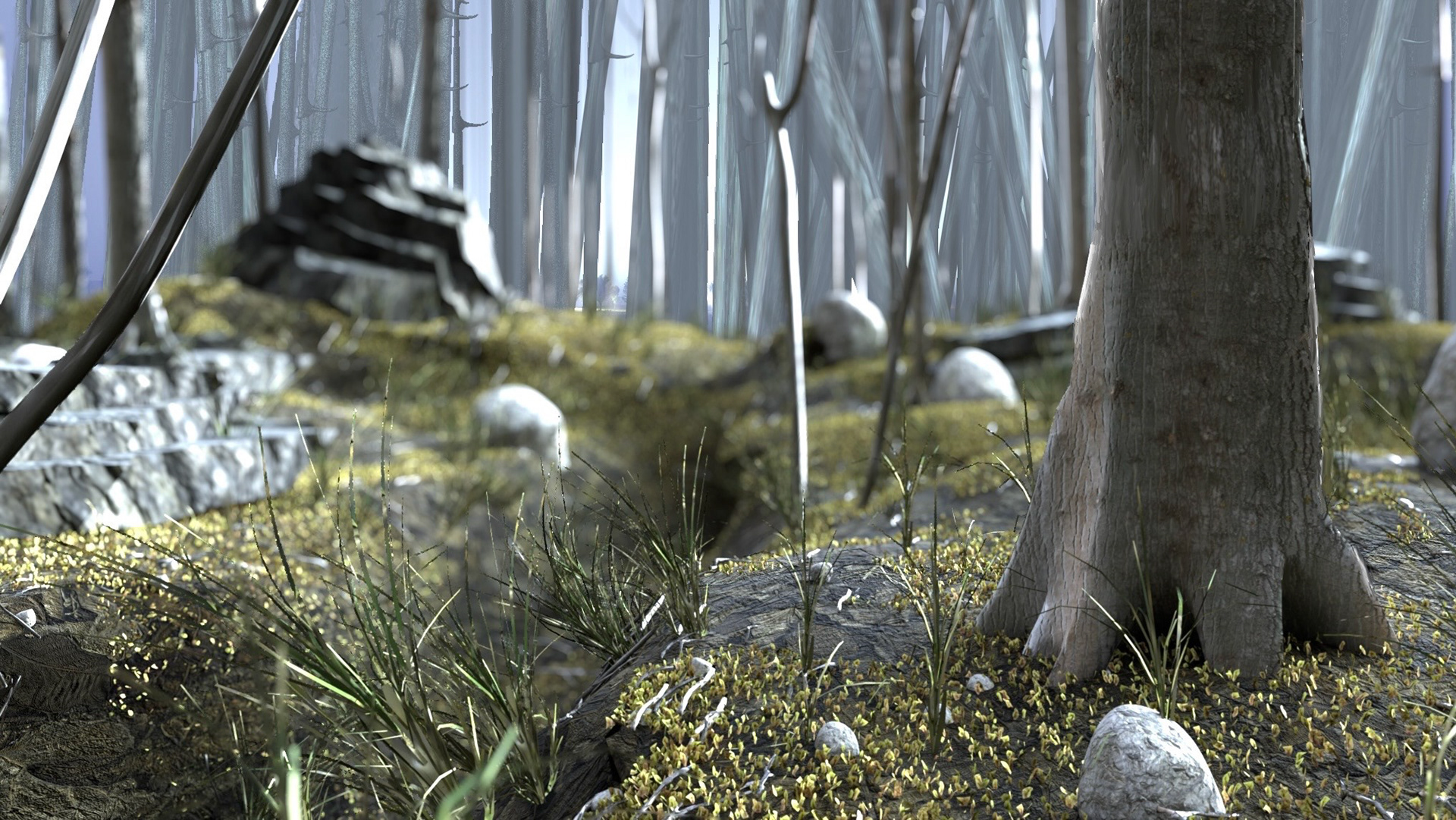 Dhwani S. background