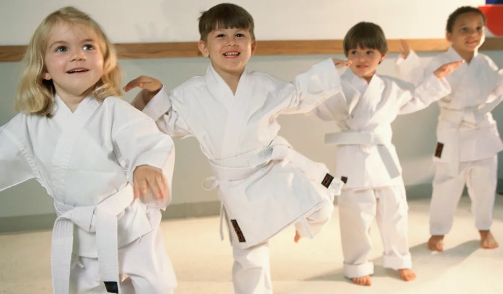 Little Ninjas: Mini Martial Arts